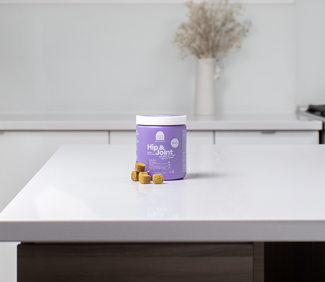 Hip & Joint Health Supplement Chews for Dogs