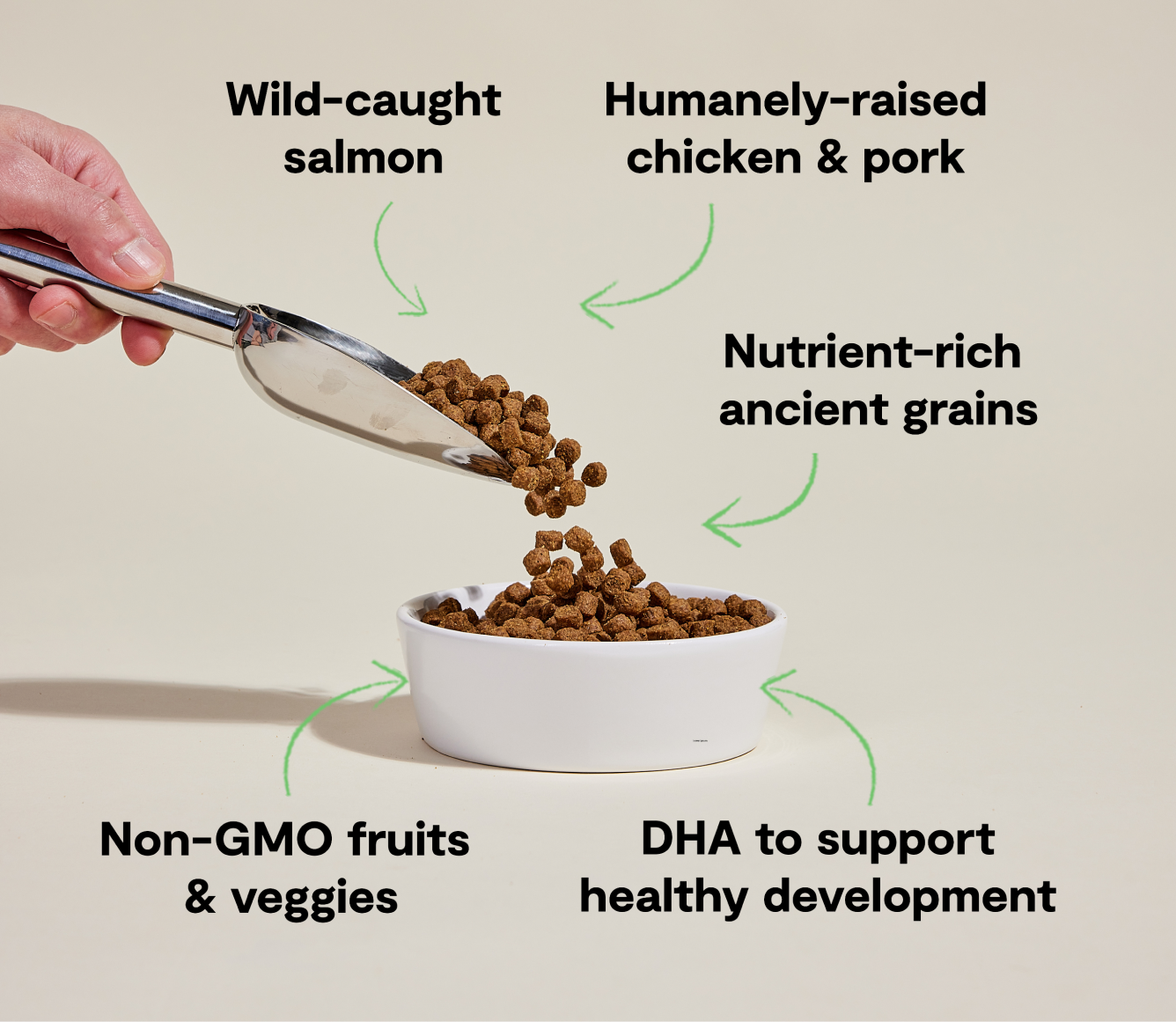 Chicken & Salmon Ancient Grains Puppy Kibble