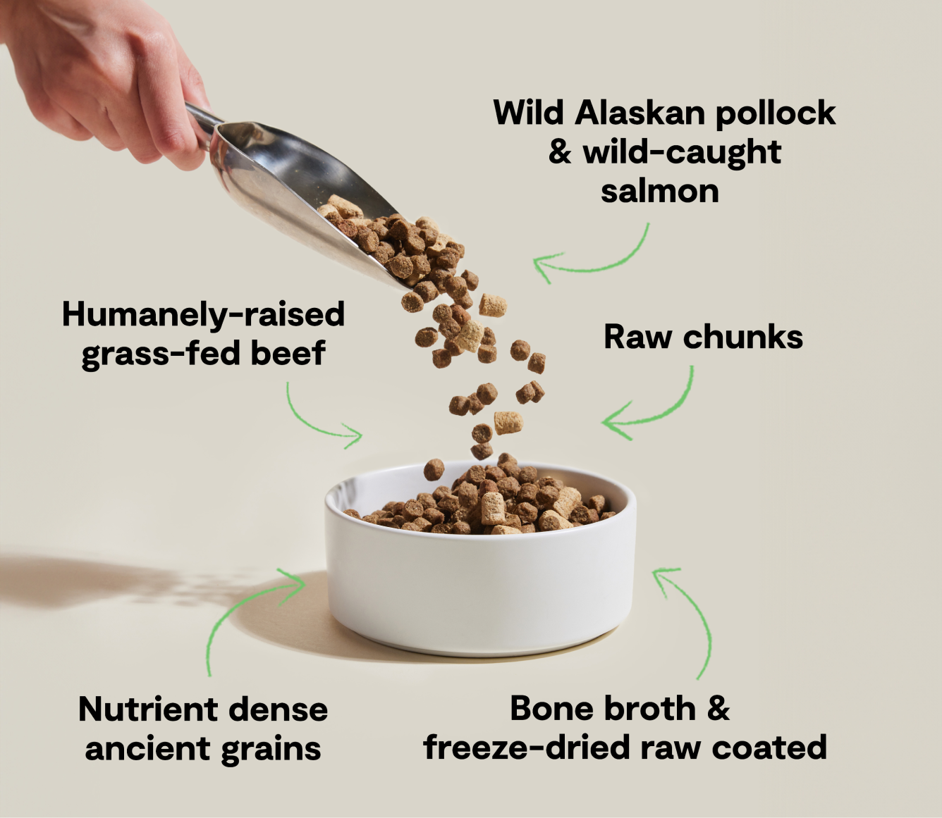 RawMix Tide & Terrain Ancient Grains Dog Kibble