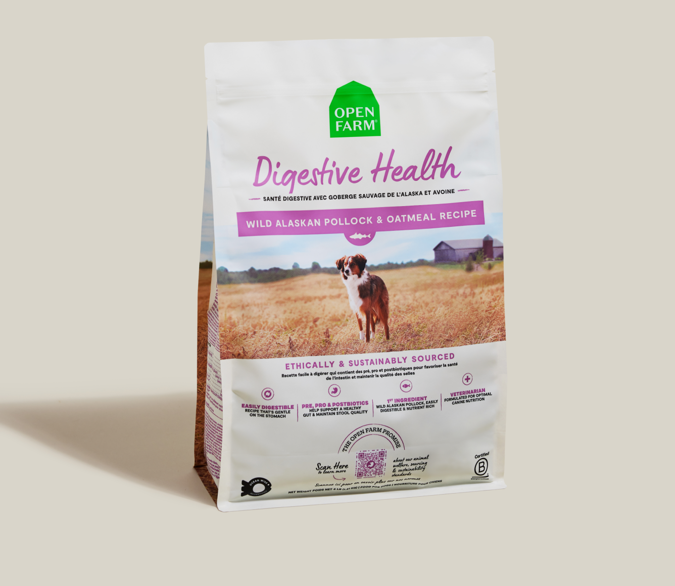 Pollock & Oatmeal Digestive Health Dog Kibble