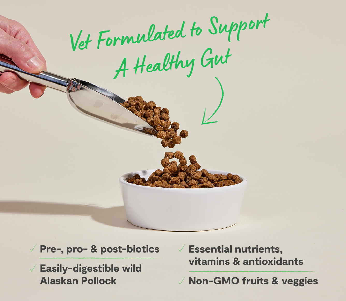 Pollock & Oatmeal Digestive Health Dog Kibble