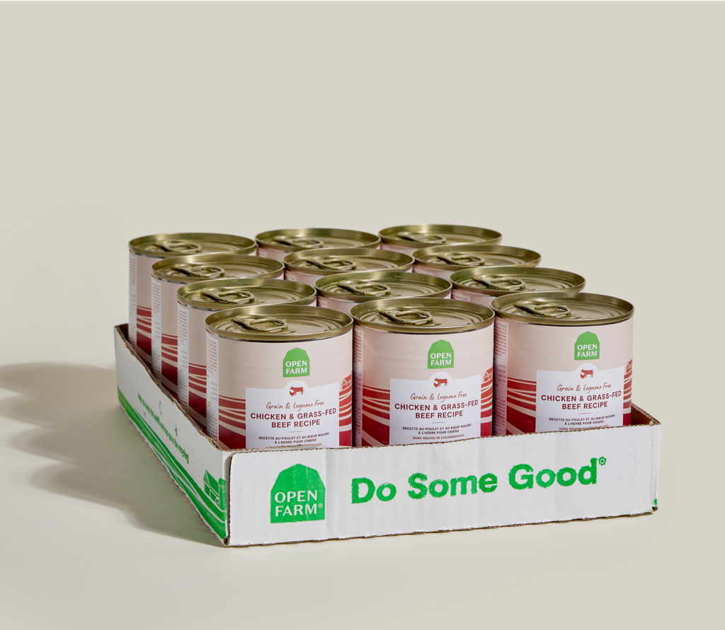 Chicken & Grass-Fed Beef Pâté for Dogs