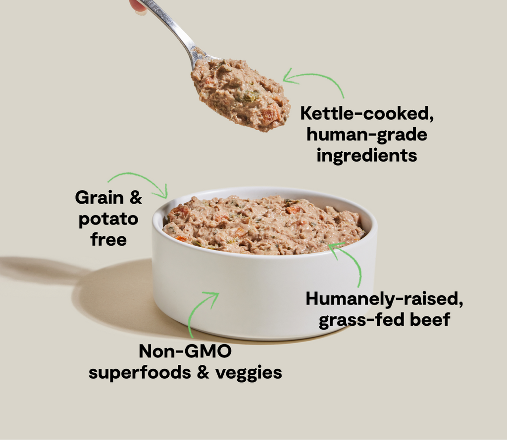 Grass-Fed Beef Rustic Stew Wet Dog Food