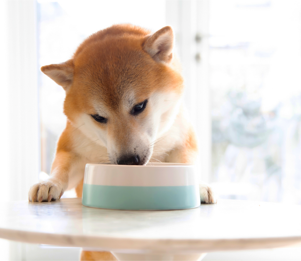 Grass-Fed Beef Rustic Stew Wet Dog Food