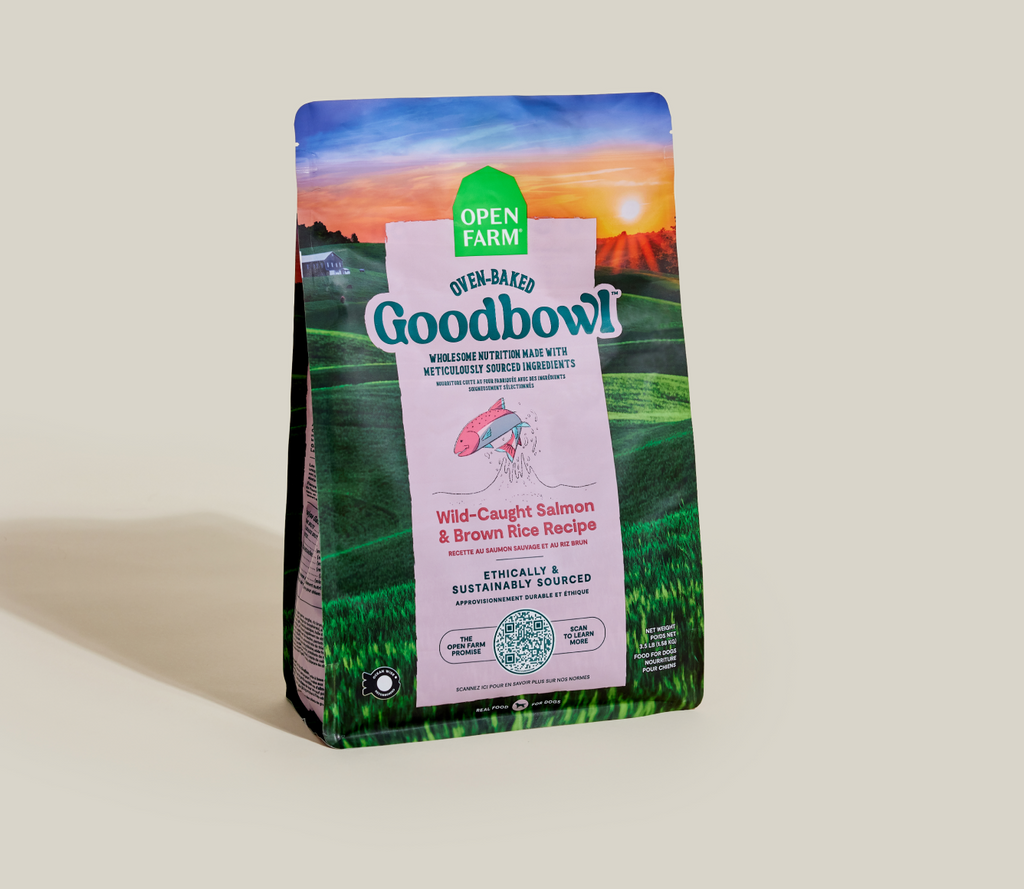 Goodbowl™ Wild-Caught Salmon & Brown Rice Dog Kibble