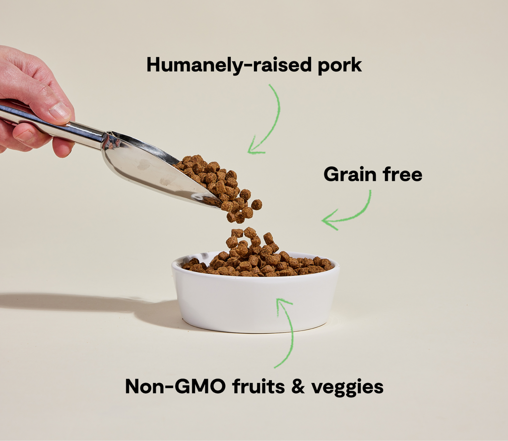 Farmer's Table Pork Grain-Free Dog Kibble