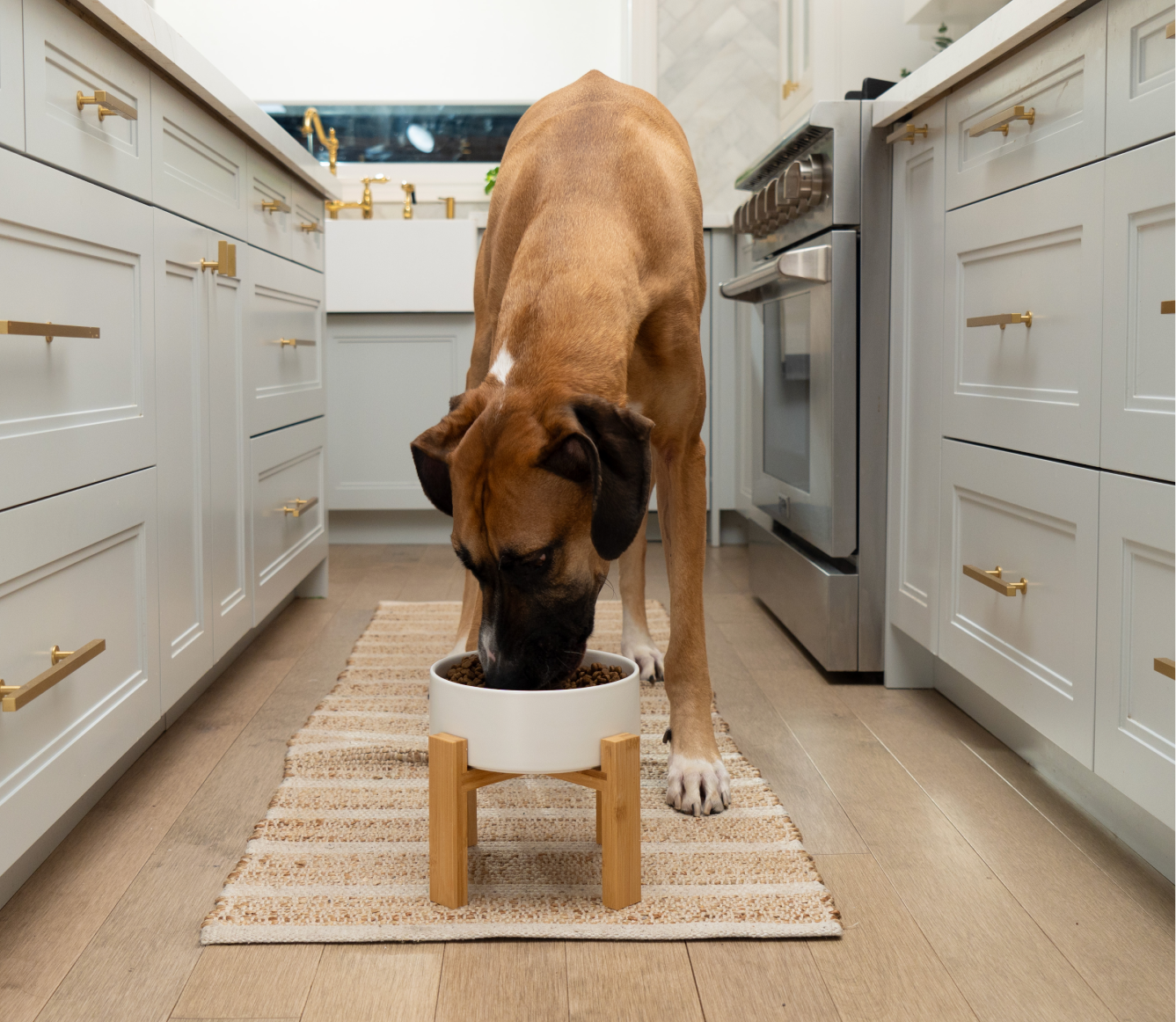 Goodbowl™ Grass-Fed Beef & Brown Rice Dog Kibble