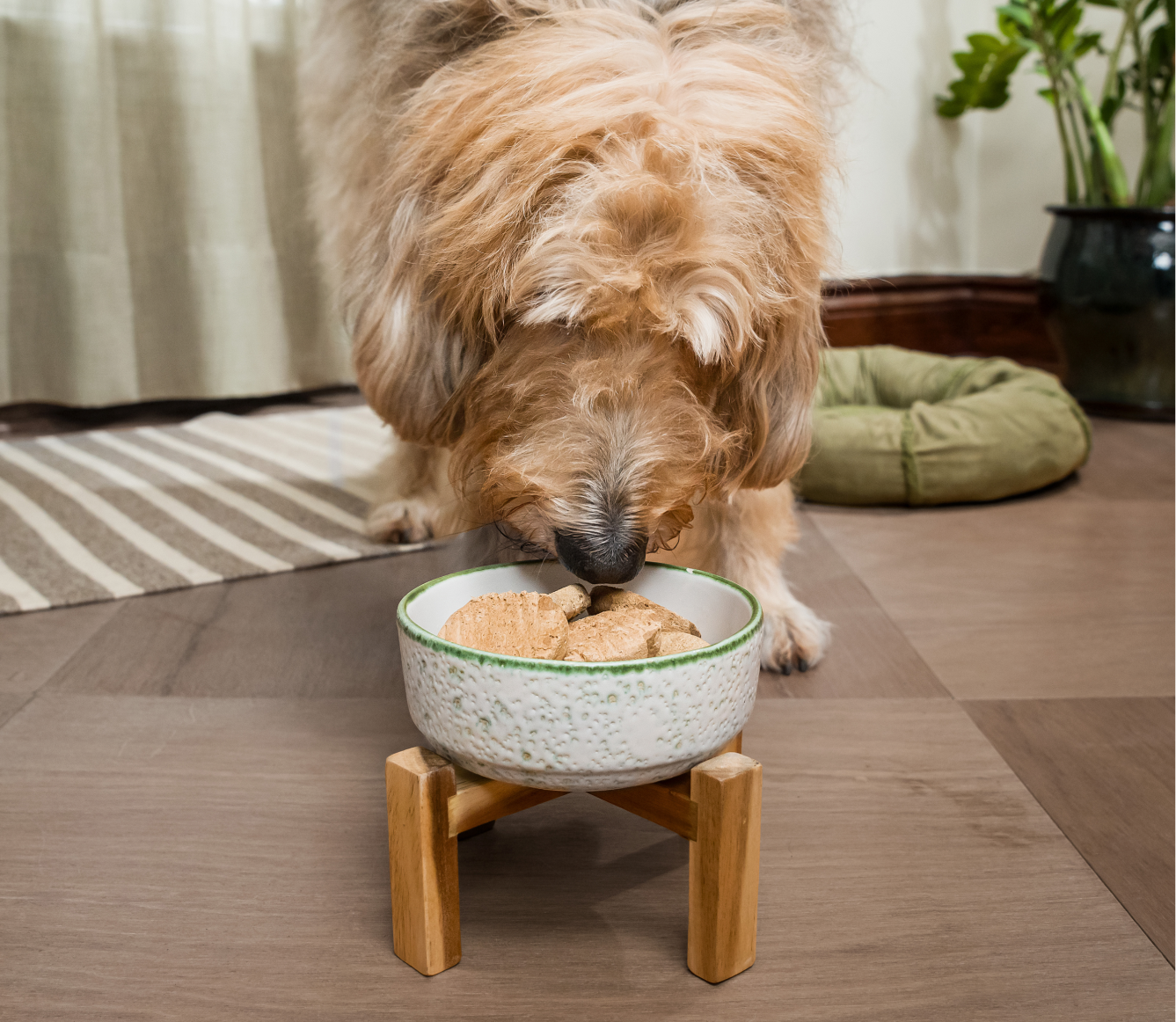 Grass-Fed Beef Freeze Dried Raw Patties for Dogs