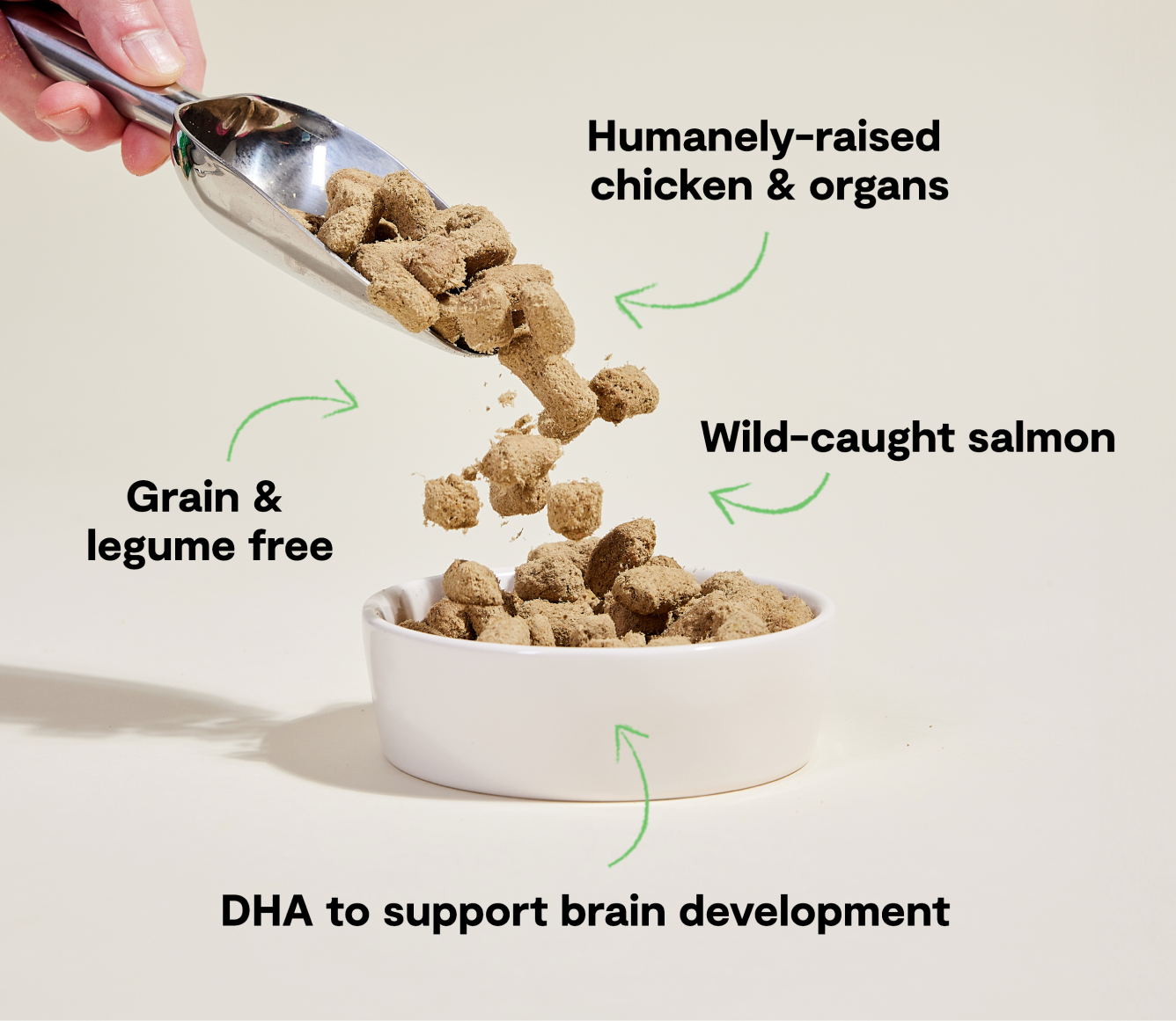 Chicken & Salmon Freeze Dried Raw Morsels for Puppies