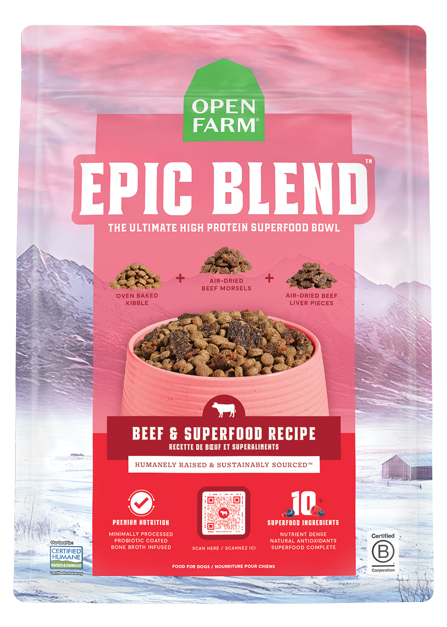 Epic Blend Beef & Superfood Dry Dog Food