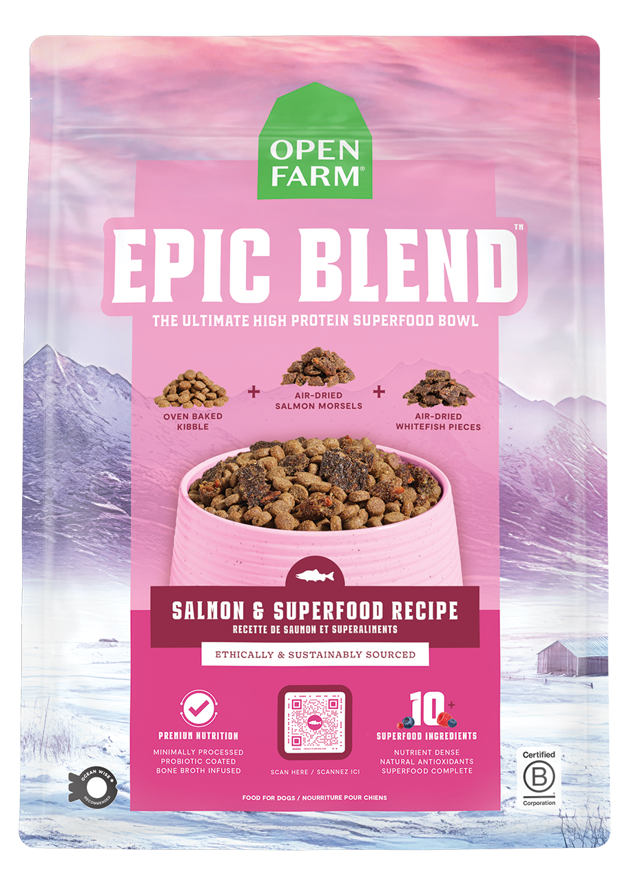 Epic Blend Salmon & Superfood Dry Dog Food