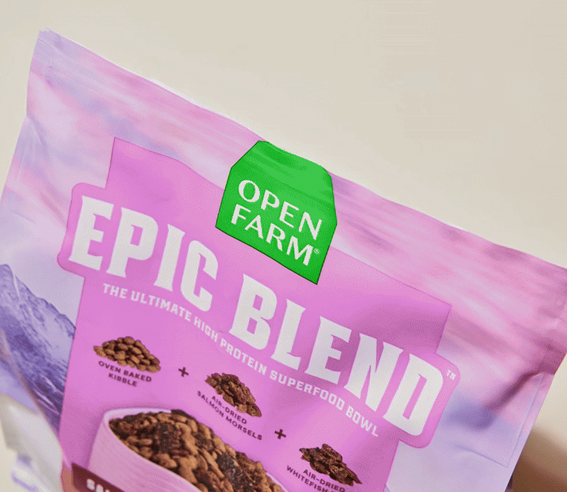 Epic Blend Chicken & Superfood Dry Dog Food