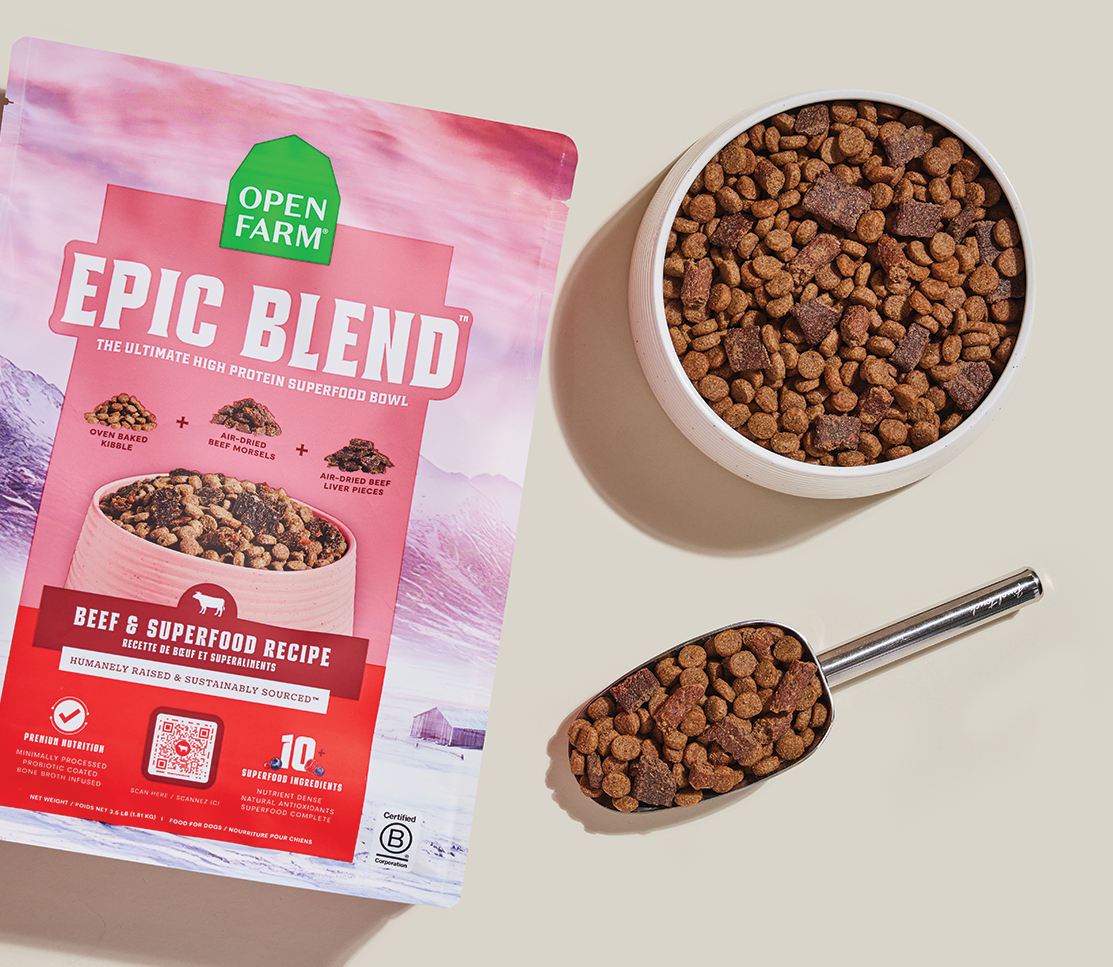 Epic Blend Beef & Superfood Dry Dog Food