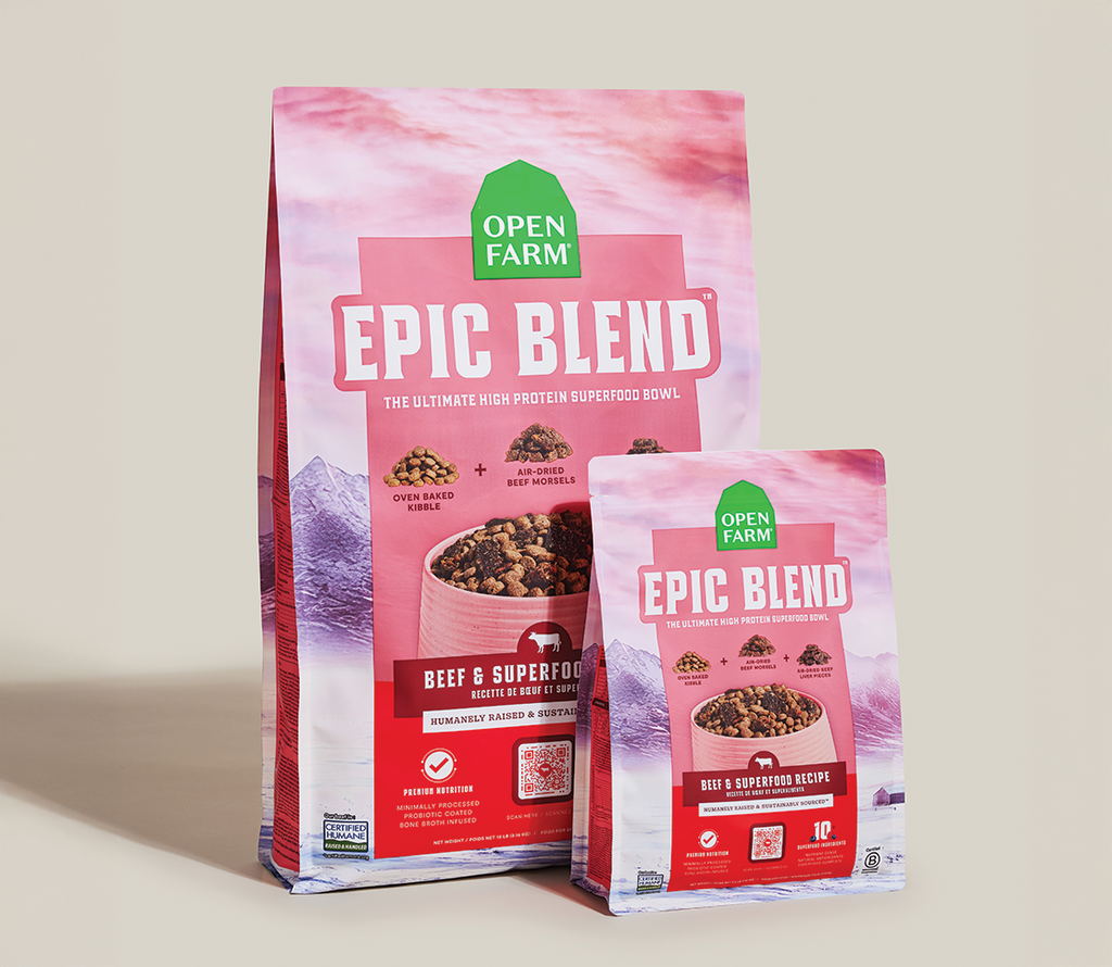 Epic Blend Beef & Superfood Dry Dog Food