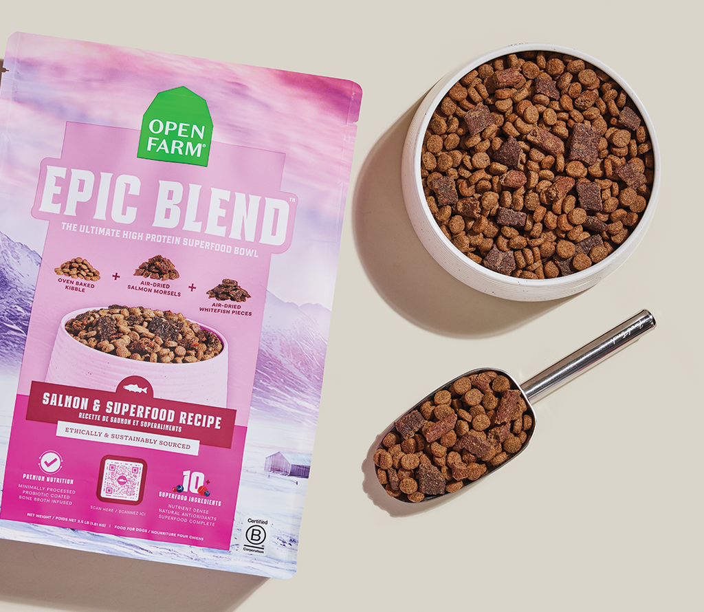 Epic Blend Salmon & Superfood Dry Dog Food