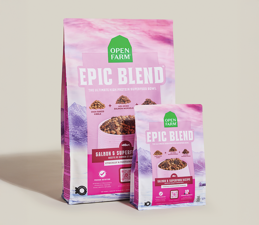 Epic Blend Salmon & Superfood Dry Dog Food
