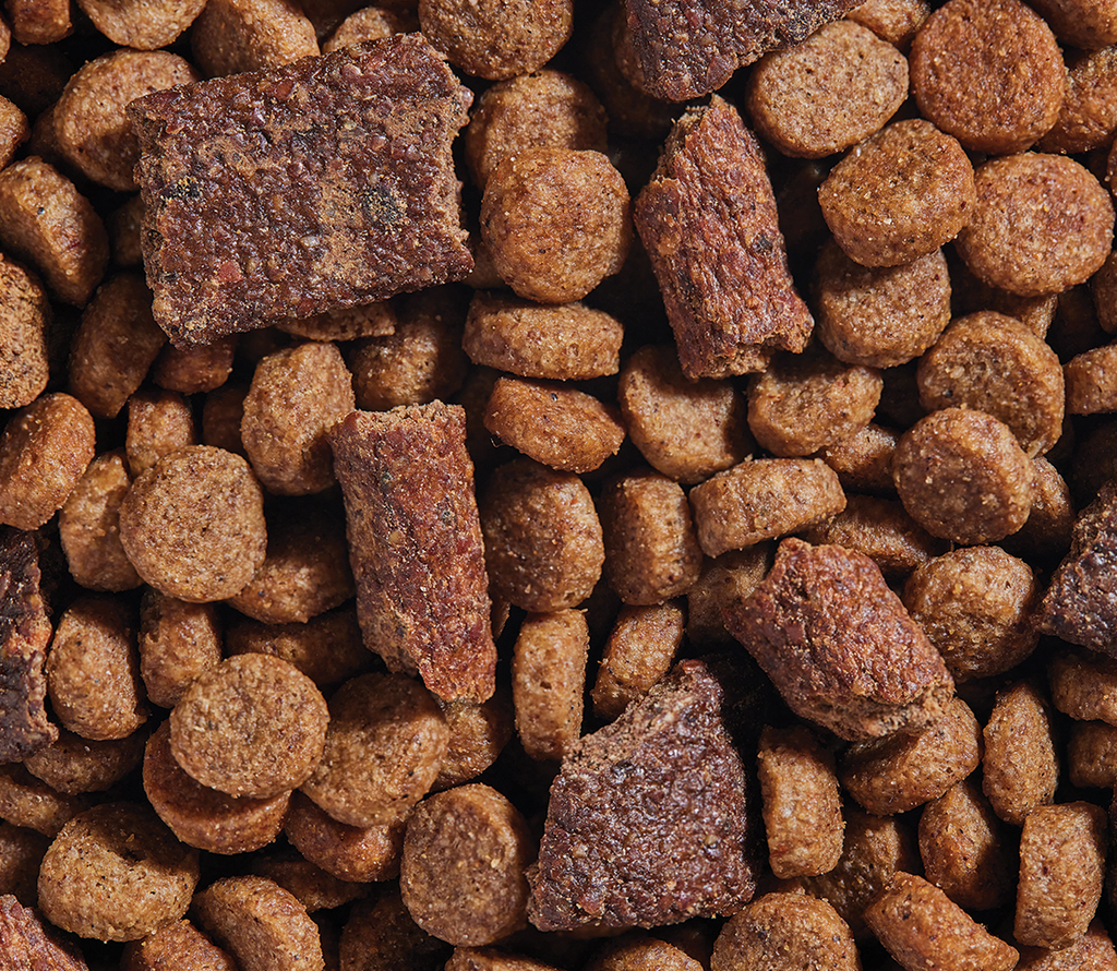 Epic Blend Beef & Superfood Dry Dog Food