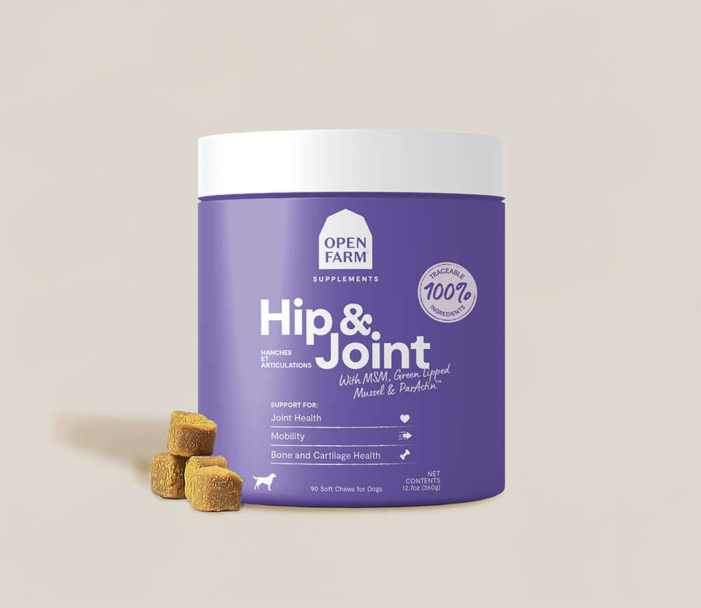Hip & Joint Health Supplement Chews for Dogs