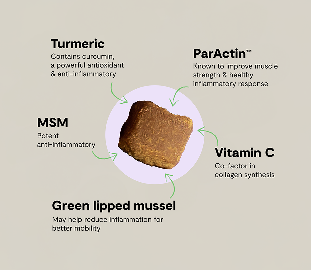 Hip & Joint Health Supplement Chews for Dogs